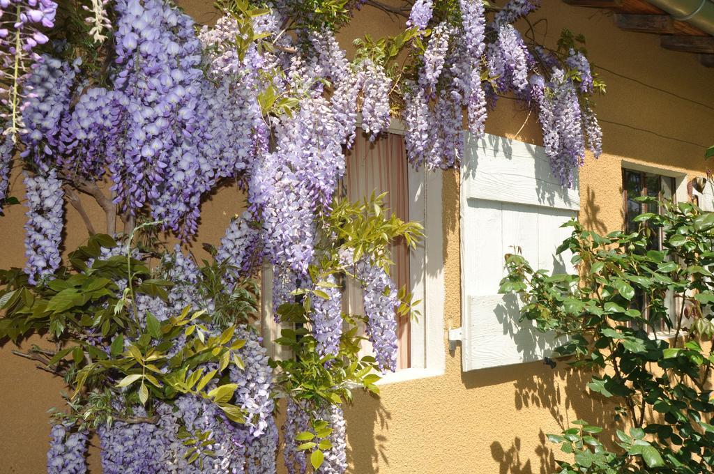 B&B La Cerisaie Francheleins Dış mekan fotoğraf